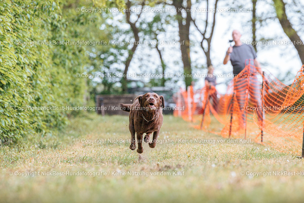 Sage Hunderennen Frühlingsfest-2026-Nickbest-Hundefotografie-0552 | Dein Hund! Dein Moment! Deine Erinnerungen! Hundefotografie in Bremen Blumenthal. Ich fange die besonderen Momente deines Vierbeiners ein – ob Indoor mit Blitzanlage oder in der freien Natur. Sicher dir dein Moment und dein Termin für eure Erinnerungen.