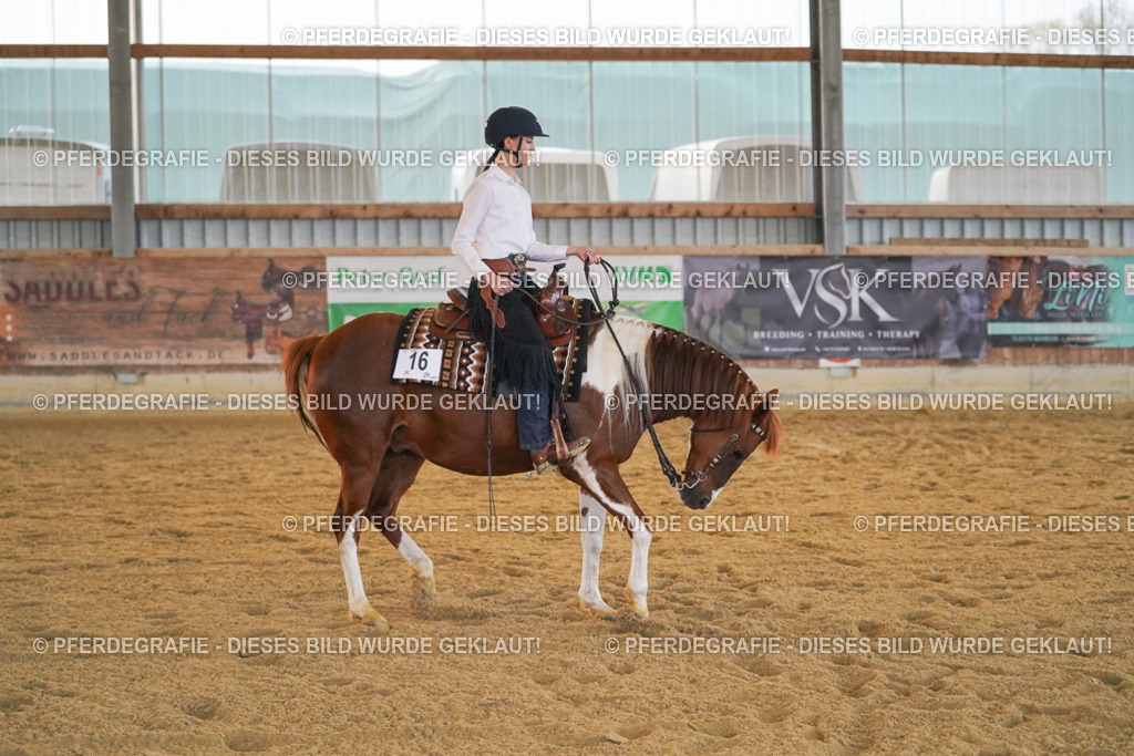 DSC09049 | Pferdegrafie