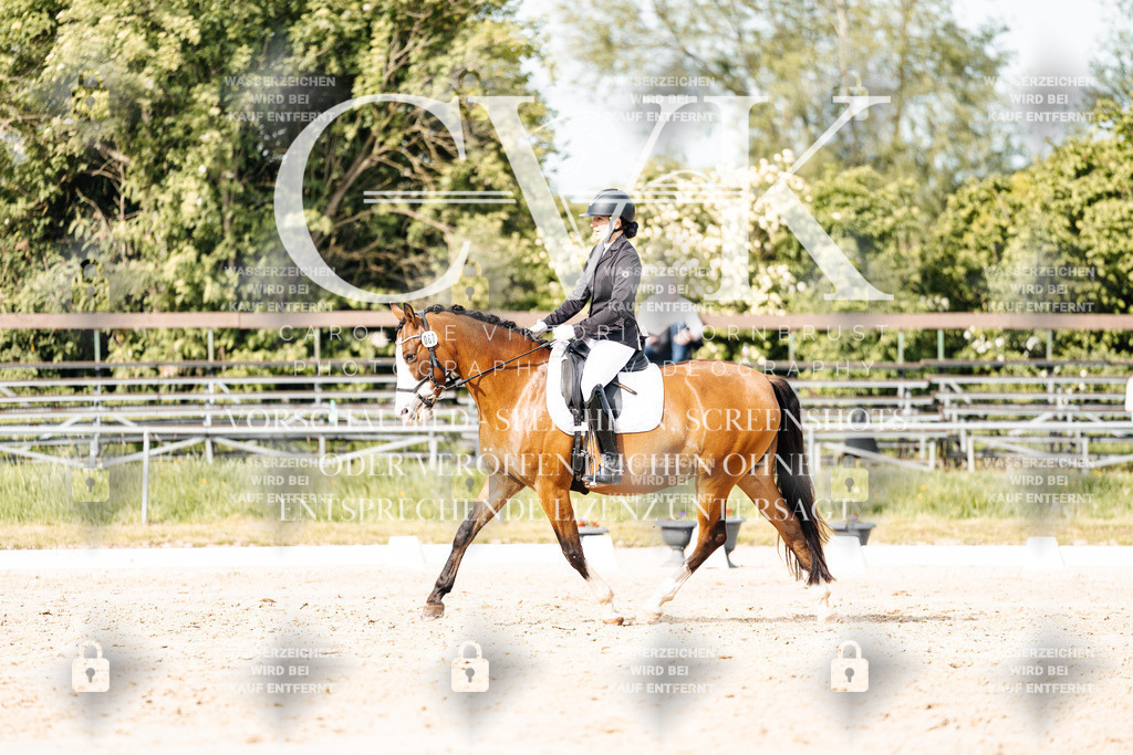 CK900559 | Turnierfotografie Pferdefotografie Trier Rheinland-Pfalz Pferdesport Reitsport Tierfotografie Sportfotografie Pferdevideo Pferdevideografie Equestrianvideography equestrianphotography  - Realisiert mit Pictrs.com