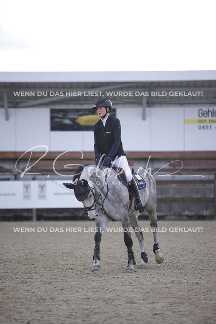 1J2A5180Pheline Ahlmann_ Mirella 26_ Kn735_ Havekost | Foto- und Videografie für alles rund ums Pferd. Hochwertige Bilder und Videos vom Spring- und Dressurreiten, Voltigieren & mehr. Jetzt aktuelle Veranstaltungen und Preise im Shop ansehen. - Realisiert mit Pictrs.com