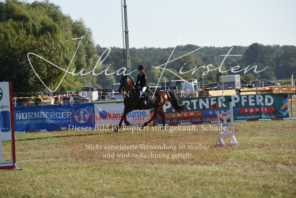 DSC_5576 | Pferde- und Turnierfotografie in Westsachsen. Pferdeportraits, Auftragszeichnungen und intuitive Kunst.