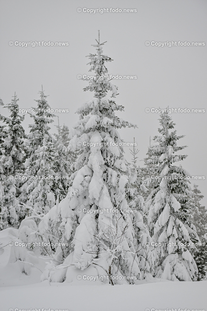 Hochficht_ Skigebiet_ Boehmerwald_ 04.02.2023-30 | 04.02.2023, Hochficht, AUT, Skigebiet Hochficht, Boehmerwald, im Bild Hochficht Bergstation, verschneite Baeume, Schnee