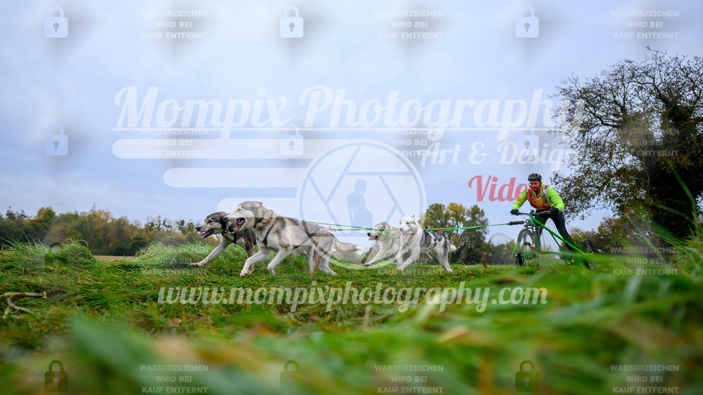 MompixPhotography_CDLBDB2025_DI_Kart-15 | PayLife