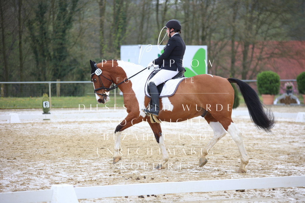 IMGT3848 | pl-fotografie