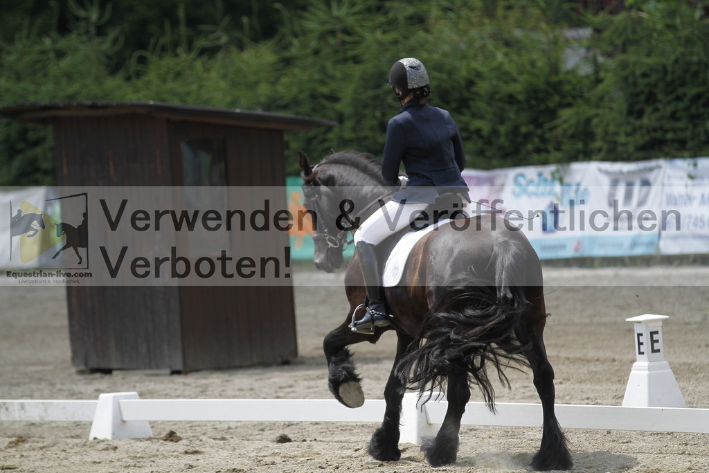 _MG_1624 | equestrian-live-com