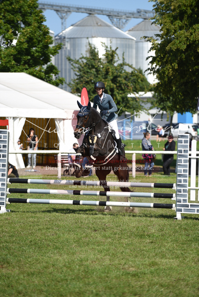 DSC_9201 | Pferde- und Turnierfotografie in Westsachsen. Pferdeportraits, Auftragszeichnungen und intuitive Kunst.