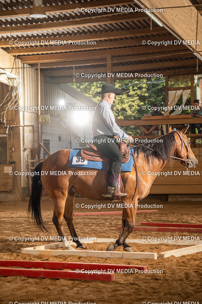 NID02519 | dv-media-shop - Realisiert mit Pictrs.com