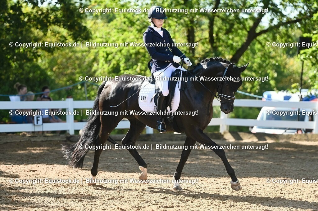 20230715_06_Dressurpferdeprfg. Kl.A_0244 | equistock