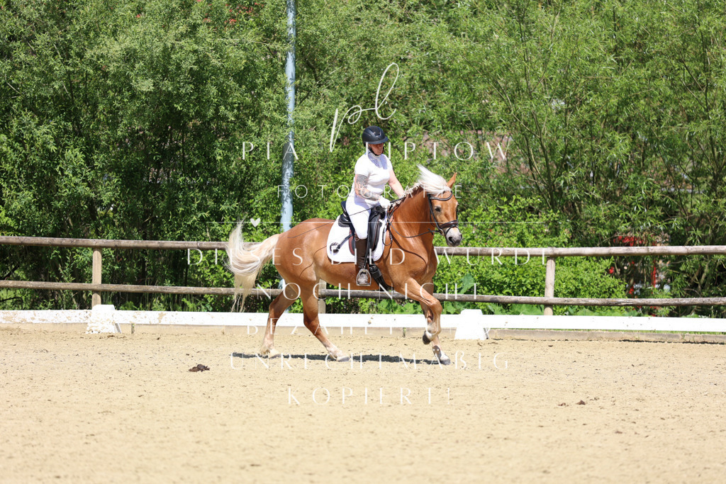 IMGS3054 | pl-fotografie