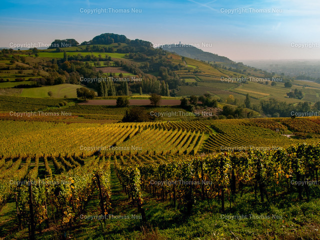 Weinberge Hessische Bergstrasse_Nibelungenland_Bensheim_Heppenehim (25) | Bergstrasse, Bensheim, Panorama, Urlaubsregiomn, Tourismus, ,, Bild: Thomas Neu