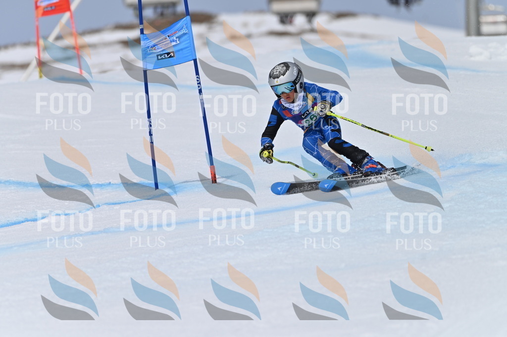 BGV_5196 | holidayphoto