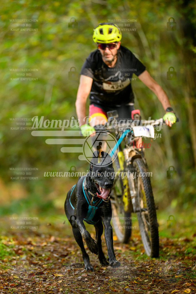 MompixPhotography_20TSB_E1_Bike-33 | PayLife