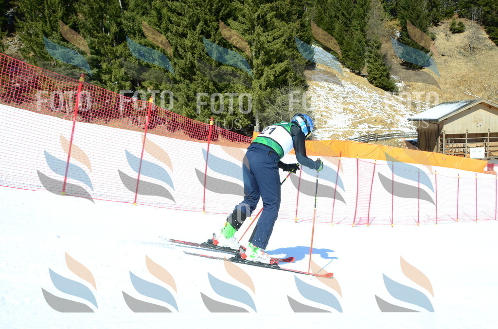 C6861 | holidayphoto