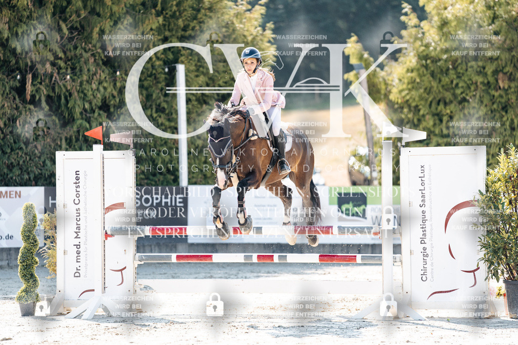 CK907690 | Turnierfotografie Pferdefotografie Trier Rheinland-Pfalz Pferdesport Reitsport Tierfotografie Sportfotografie Pferdevideo Pferdevideografie Equestrianvideography equestrianphotography  - Realisiert mit Pictrs.com