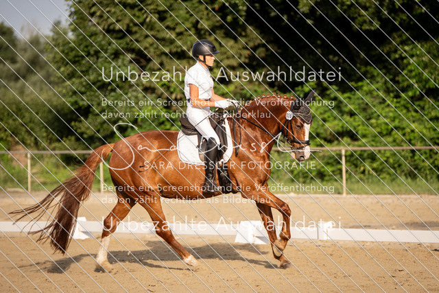 SD_Verl_06964 | saradresslerfotografie - Realisiert mit Pictrs.com