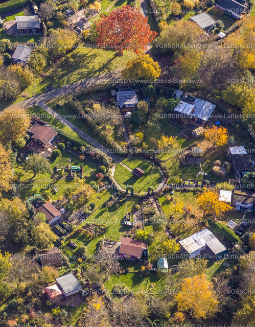 Witten231101298 | Luftbild, Kleingartenverein Am Heuweg e.V., Lauben und Häuser in kreisrunder Form geordnet, Gartenanlage mit Laubbäumen in Herbstfarben, Stockum, Witten, Ruhrgebiet, Nordrhein-Westfalen, Deutschland