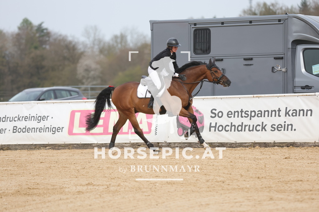 0P6A7521 | Willkommen bei Brunnmayr - Design & Fotografie – Ihrem Spezialisten für Reitturniere und Pferdeveranstaltungen in Oberösterreich, Salzburg und Bayern! Seit über 17 Jahren sind wir leidenschaftlich dabei.