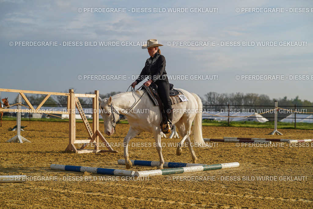 DSC00085 | Pferdegrafie