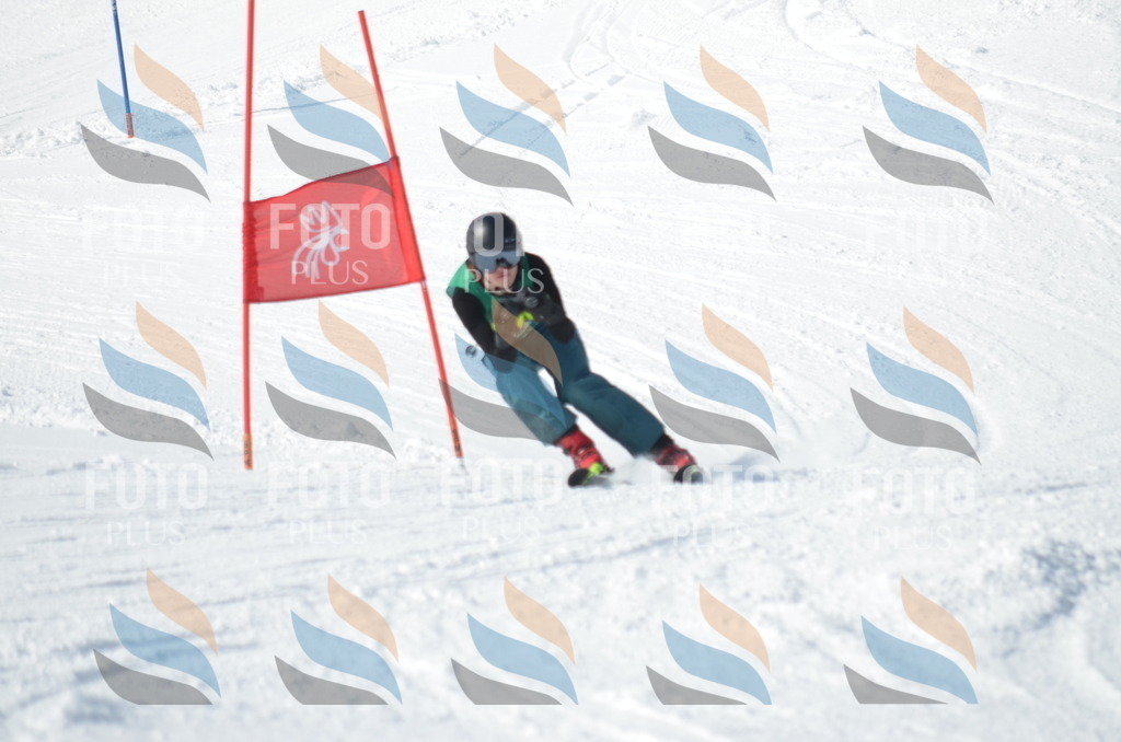 D9136 | holidayphoto