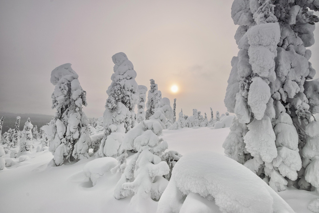 Pale Sun | Verschneite Landschaft mit fahler Sonne in Lappland. 
-----------------------------------------------
Snowy landscape with a pale sun in Lapland.
-----------------------------------------------
Dieser Druck ist in einer limitierten Auflage von 5 Exemplaren erhältlich. 
This print is available in a limited edition of 5 copies. 
http://art.hess.photography/26-pale-sun.html - Realisiert mit Pictrs.com