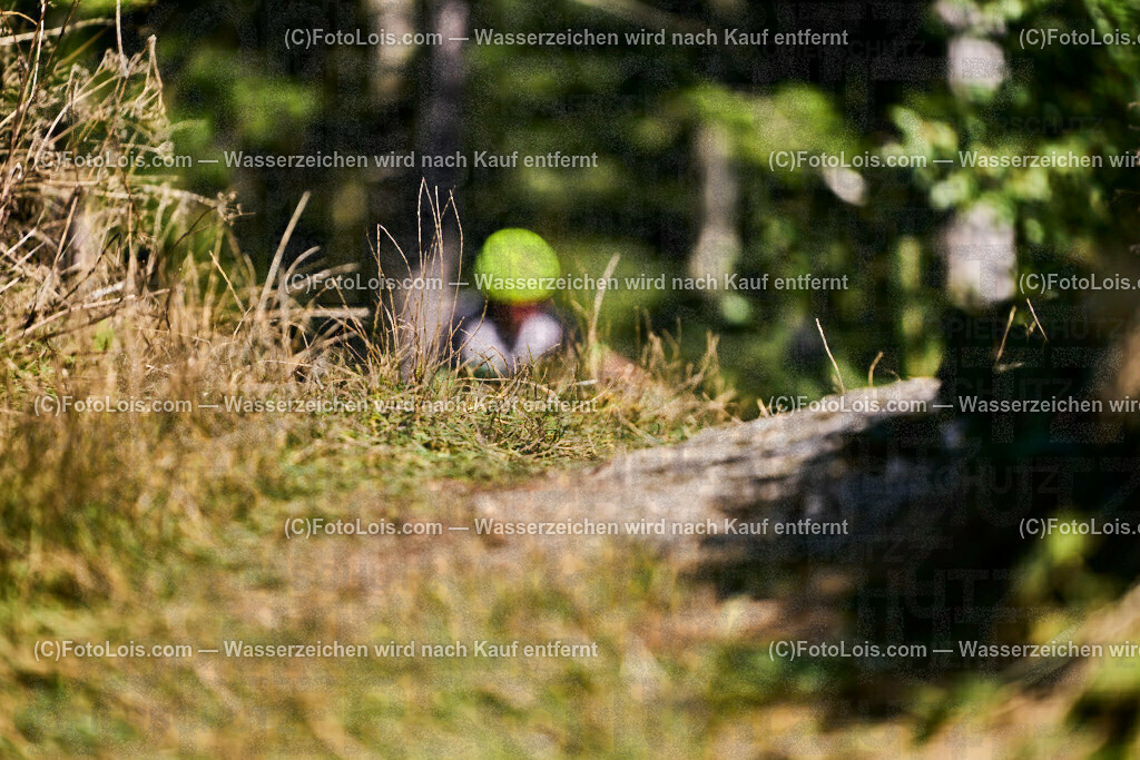 ALP7371_XXIX_GRANITBEISSER_Medium_Goller Bartl | (C)FotoLois.com, Alois Spandl, 29. GRANITBEISSER - Mountainbike-Marathon in St. Georgen am Walde, MEDIUM 39,5 km, Sa 2. September 2023.