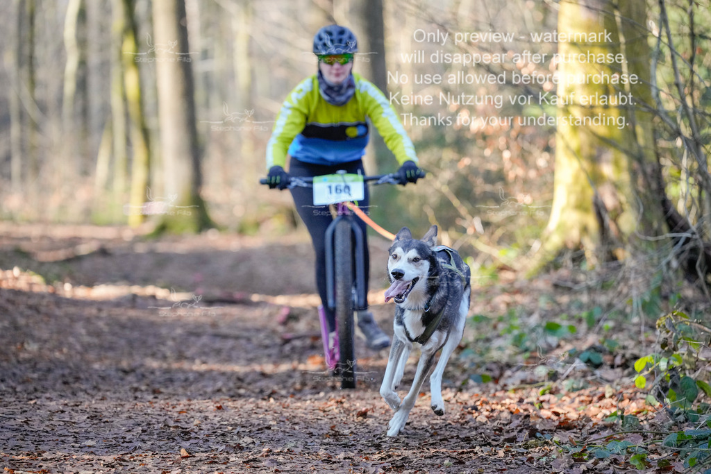 Scooter_So_So-21 | stephaniefillaphotographie - Realisiert mit Pictrs.com