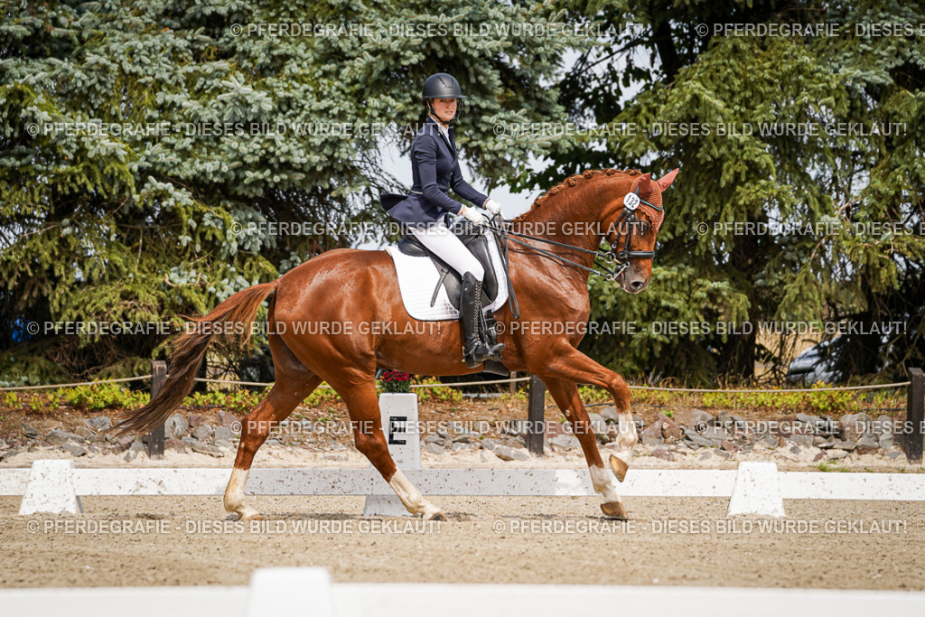 DSC04882 | Pferdegrafie