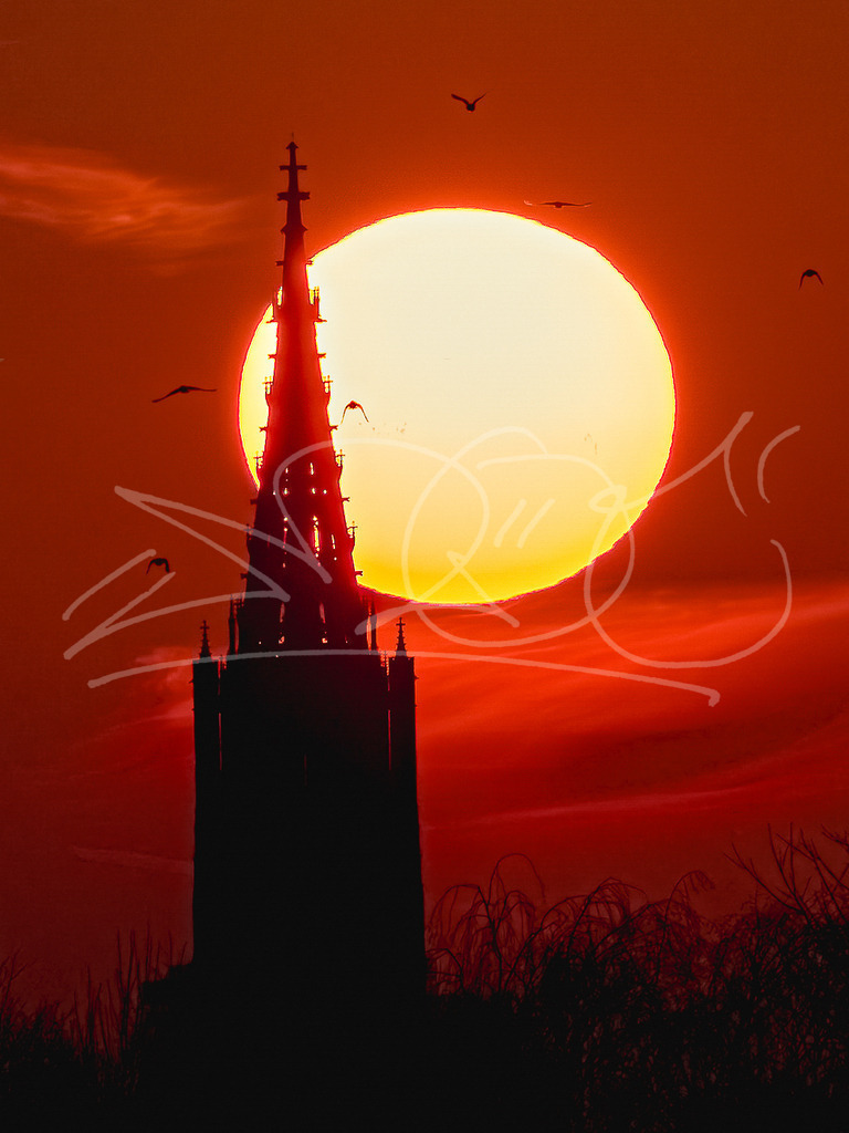 Ulmer Münster und der Sonnenball | Was für ein Moment! Mit den Vögeln, den perfekten Bedingungen und Blickwinkel. Ich bin immer noch so dankbar dafür. - Realisiert mit Pictrs.com