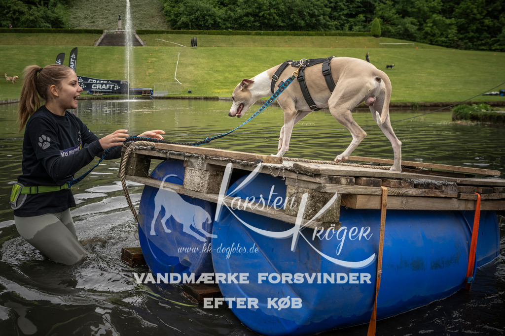 1102_ZZ95910 | kk-dogfotos