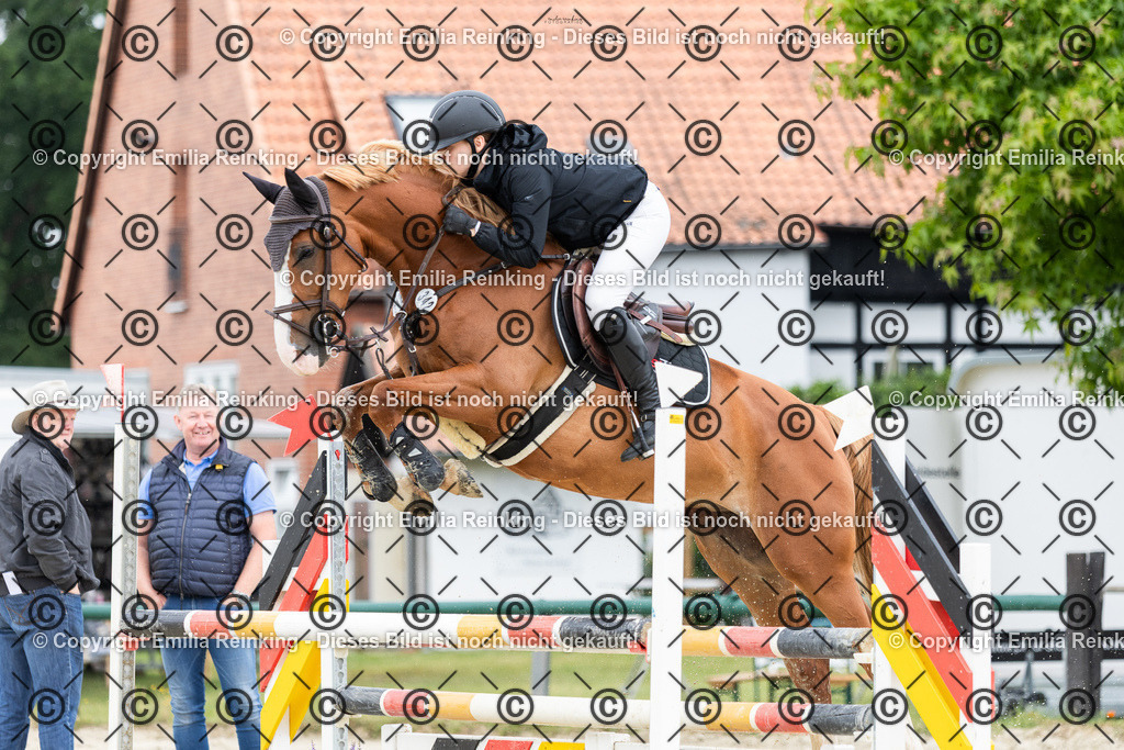 CL5A5047 | Emilia Reinking Fotografie - Realisiert mit Pictrs.com