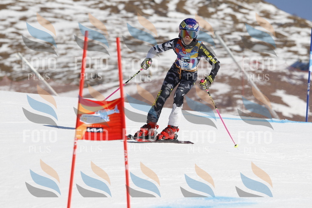 _U3G9073 | holidayphoto