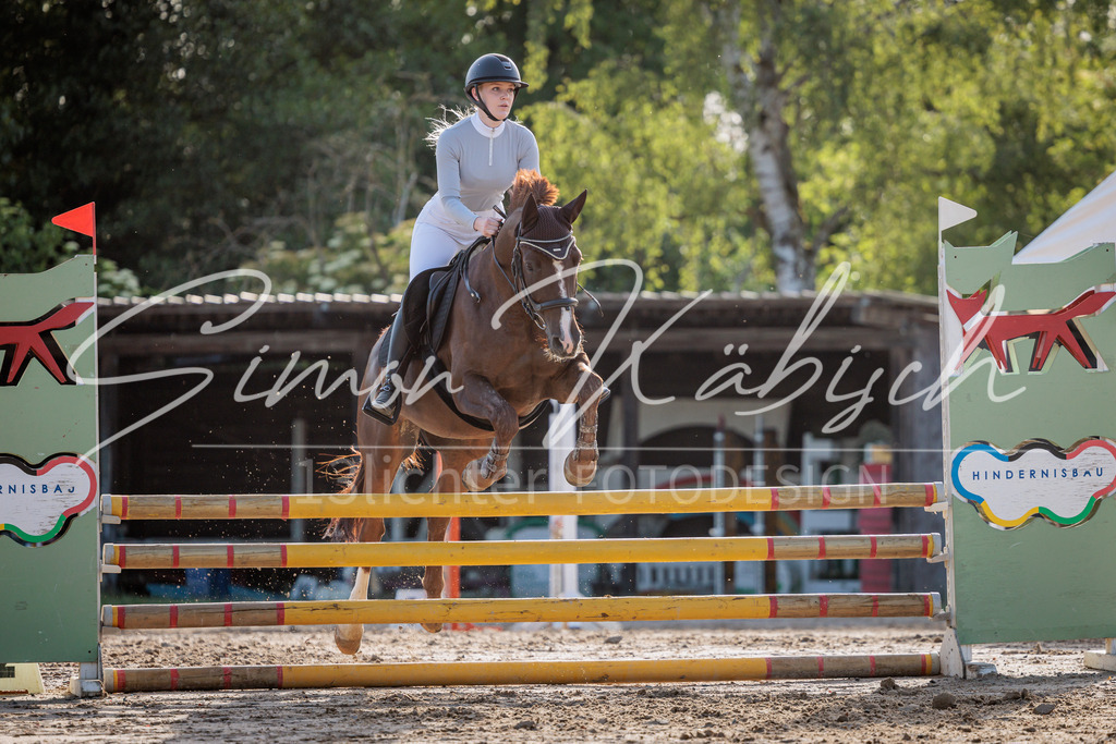 20260529-_3LI0753 | Tierfotografie Pferde, Hunde, Katzen, Haustiere.
Turnierfotografie Reitturniere, Reiten, Springreiten, Dressur in Hanau, dem Main-Kinzig-Kreis und dem Rhein-Main- Gebiet um Frankfurt