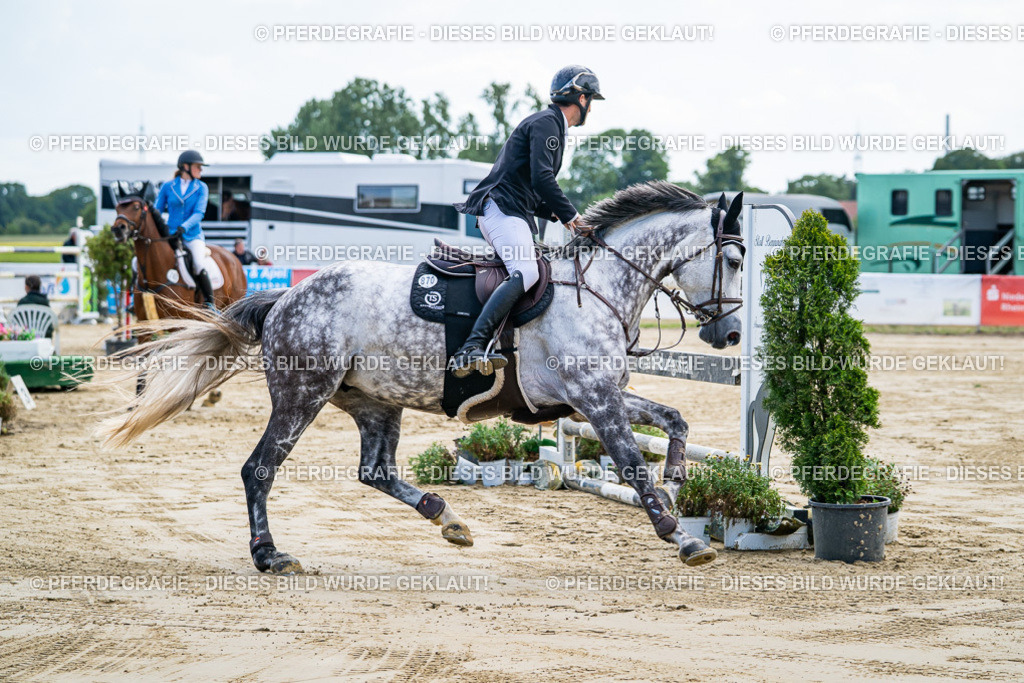 DSC06706 | Pferdegrafie