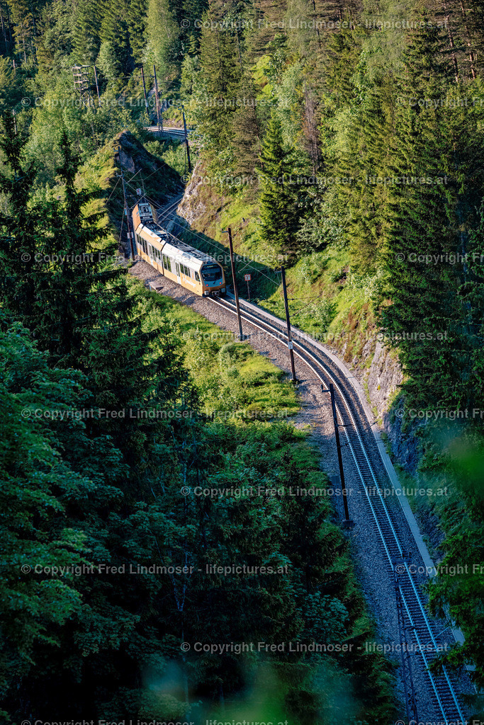 Mariazellerbahn und Blumen-6687 1 | Fotos und Fotoprodukte - Realisiert mit Pictrs.com