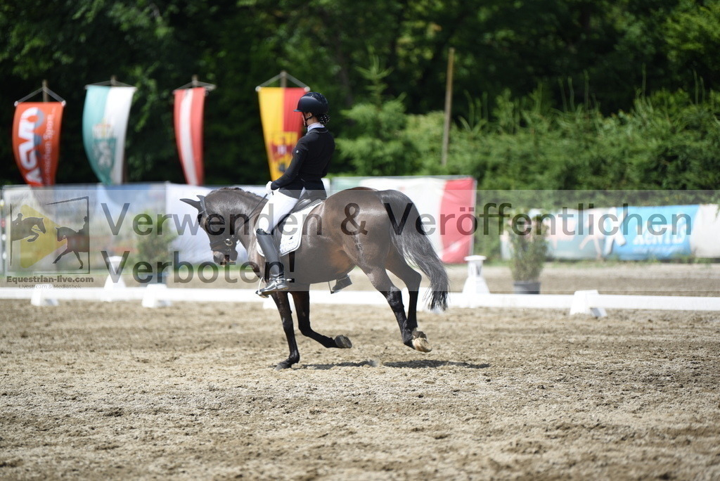 DSC_1464 | equestrian-live-com