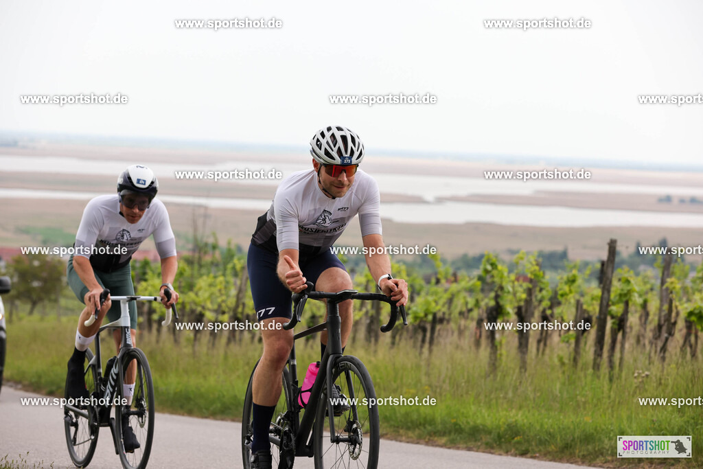007A5991 | Neusiedler See Radmarathon 2025 #neusiedlerseeradmarathon #yourpictrs #sportshot_your_pictrs @Sportshotphotography Copyright:www.sportshot.de