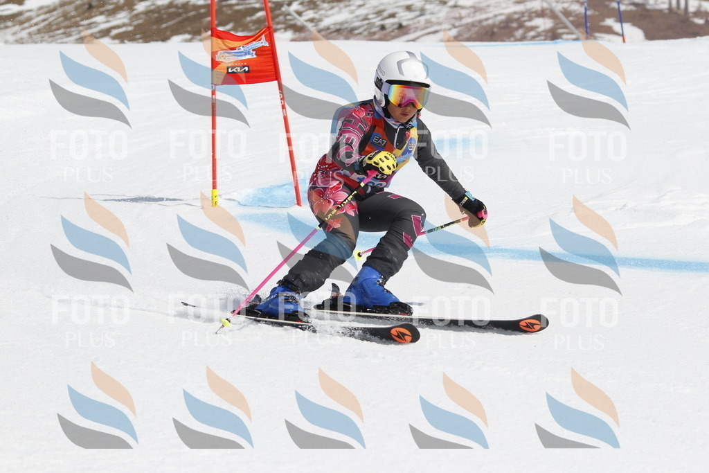 _U3G1474 | holidayphoto