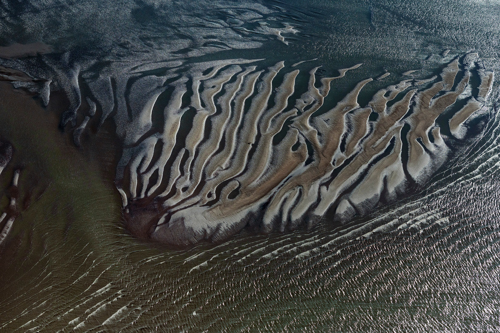 dr__0074486.jpg | JORK 01.09.2021 Uferbereiche mit Watt- Bereichen am Flußverlauf der Elbe in Jork Altes Land im Bundesland Niedersachsen, Deutschland. // Riparian areas with mudflats along the course of the river of the River Elbe in Jork Old Land in the state Lower Saxony, Germany. Foto: Daniel Reiter