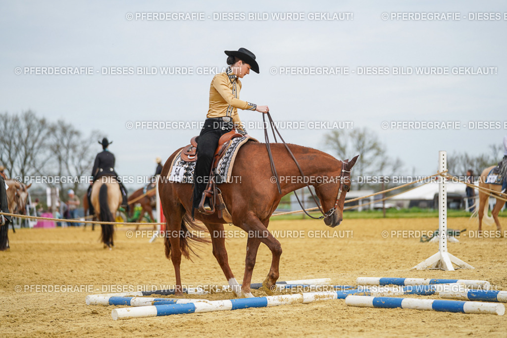 DSC03250 | Pferdegrafie