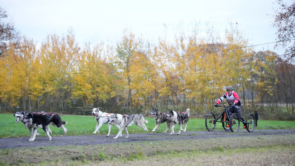 Visbeck_Sa_D4_6-53 | stephaniefillaphotographie - Realisiert mit Pictrs.com
