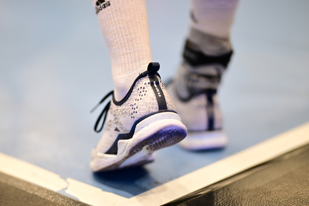 Handball I Herren I Saison 2024-2025 I Bundesliga I 23. Spieltag I HSV Hamburg - MT Melsungen | Der Sportfotograf. - Realisiert mit Pictrs.com