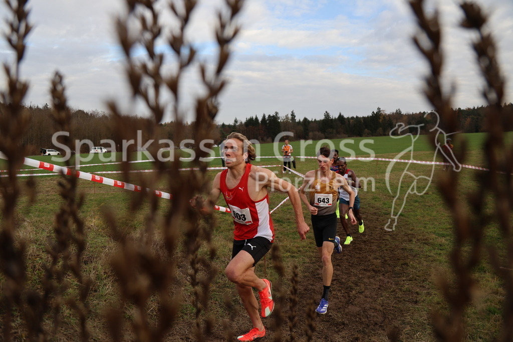 IMG_4801 | sparkassencross