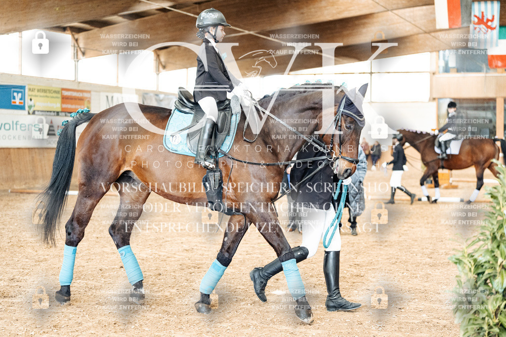 CK905877 | Turnierfotografie Pferdefotografie Trier Rheinland-Pfalz Pferdesport Reitsport Tierfotografie Sportfotografie Pferdevideo Pferdevideografie Equestrianvideography equestrianphotography  - Realisiert mit Pictrs.com