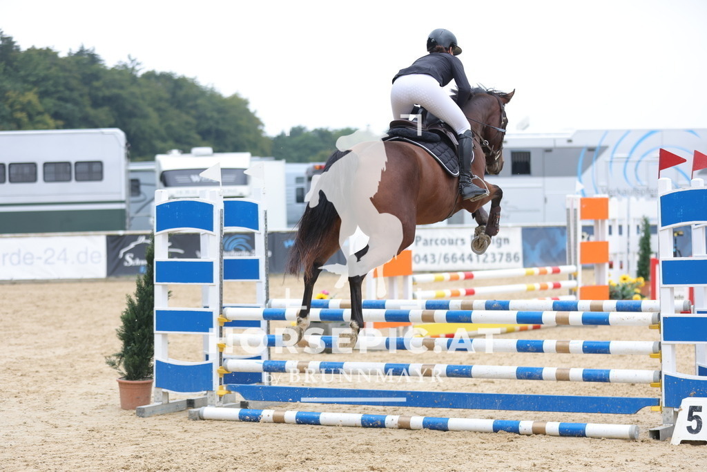 0P6A5531 | Willkommen bei Brunnmayr - Design & Fotografie – Ihrem Spezialisten für Reitturniere und Pferdeveranstaltungen in Oberösterreich, Salzburg und Bayern! Seit über 17 Jahren sind wir leidenschaftlich dabei.