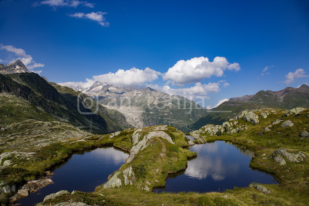 A.Trupina-4 | antonija-trupina - Realisiert mit Pictrs.com