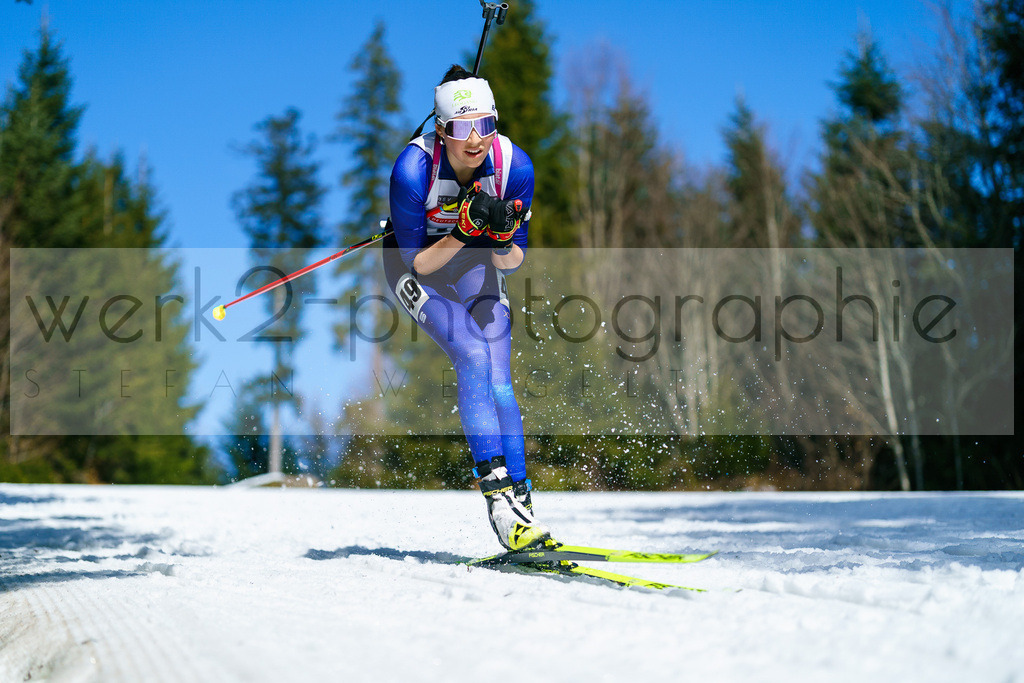 FESA Alpencup / DP Arber | 7. Deutschlandpokal Finale - ARBER Hohenzollern Skistadion, 6. - 9. März 2025