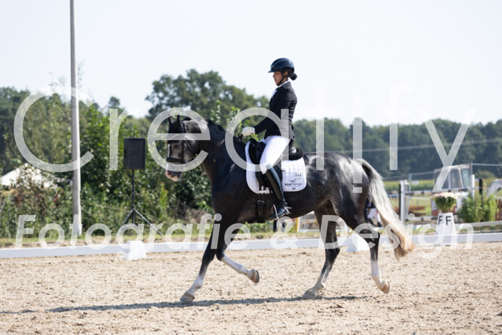 IMG_4429 | Creatify Fotografie