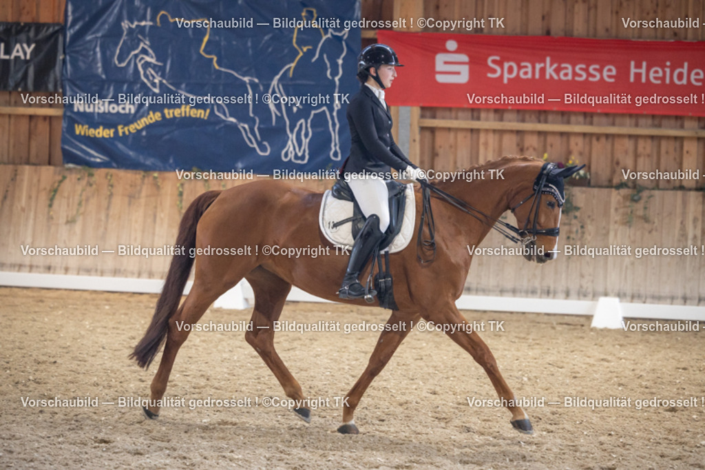 _D5A1687 | Emotionale Pferde- & People-Fotografie rund um Heidelberg, Leimen & Umgebung. Natürliche Fotos von Pferd, Mensch & Familie. Jetzt Termin sichern!