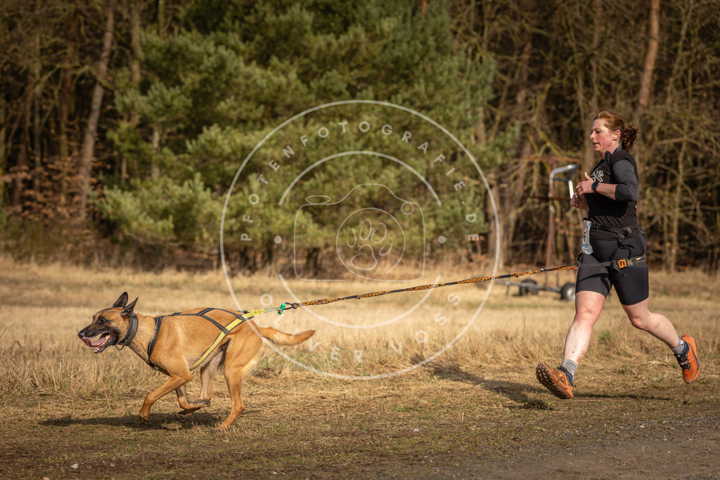 DV3A3865 | Hundefotografie, Tierfotograf, Pfotenfotografie, Fotoshooting Hund, Hunde Portrait, Hundesport, Hundeportraits, Heideshooting, Hunde, Sportfotograf, Hundefotograf, Turnierhundsport, THS,  - Realisiert mit Pictrs.com