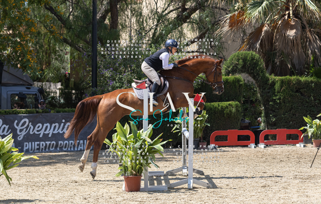 IMG_0578 | s-jay-photography - Realisiert mit Pictrs.com